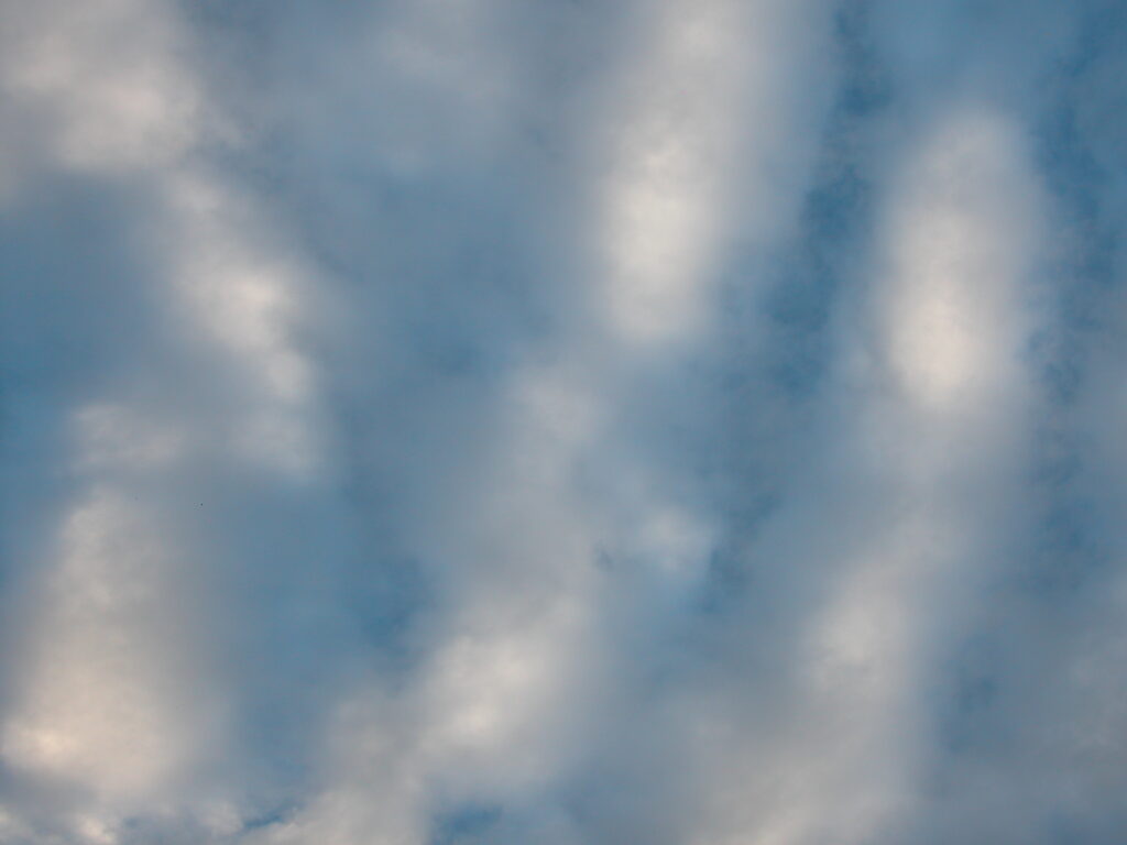 dscn2879 1 1024x768 1